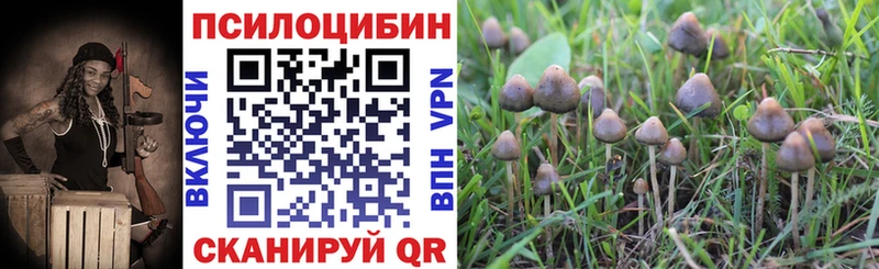 ОМГ ОМГ зеркало  Данков  Псилоцибиновые грибы Cubensis  даркнет сайт 